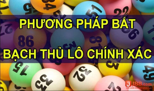 Để giúp cho anh em tìm ra phương pháp bắt bạch thủ lô là gì thì J88 đã tổng hợp