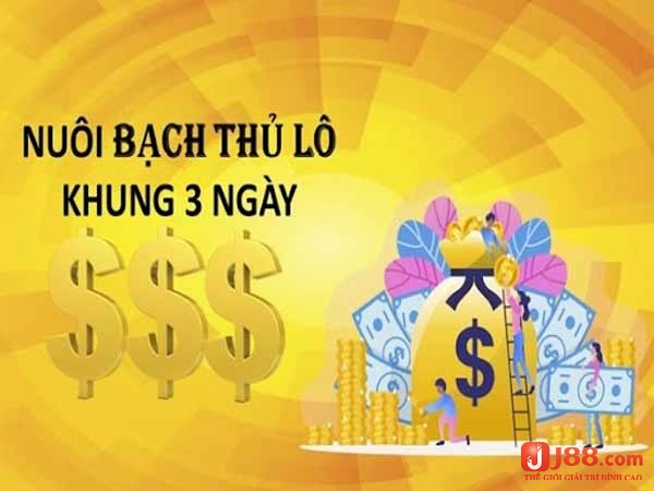 Nếu như sau 3 ngày mà không có kết quả thì bạn phải bỏ và không nuôi tiếp.