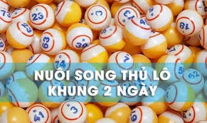 Song thủ lô nuôi khung 2 ngày chính xác bất bại cho các tay chơi